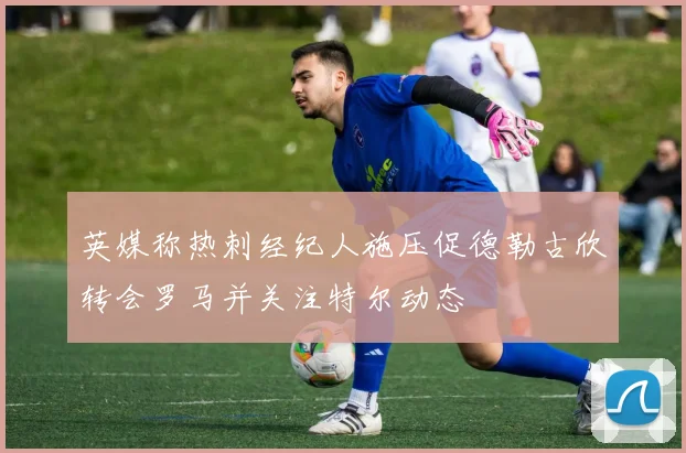 英媒称热刺经纪人施压促德勒古欣转会罗马并关注特尔动态