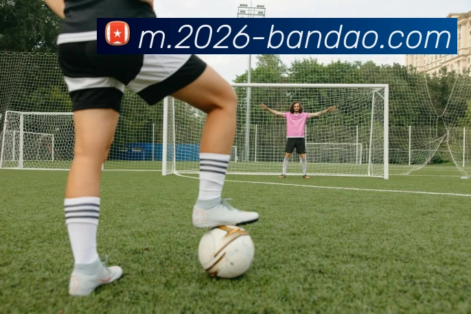 半岛体育APP 封面图